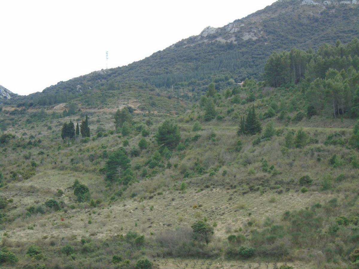 Gite La Tramontane Βίλα Cucugnan Εξωτερικό φωτογραφία