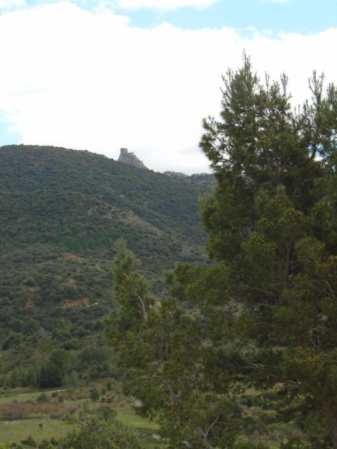 Gite La Tramontane Βίλα Cucugnan Εξωτερικό φωτογραφία